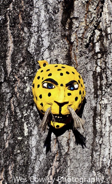 D7C_0300.jpg D7C 0300