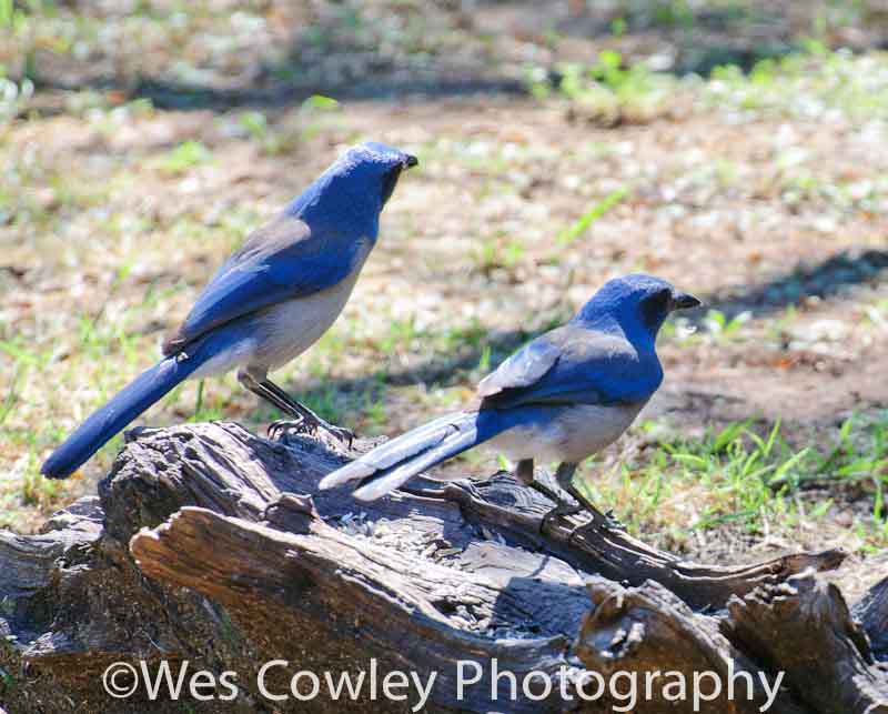 _DSC6820.jpg DSC6820