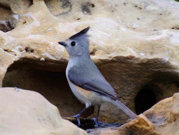 _DSC7522.jpg DSC7522