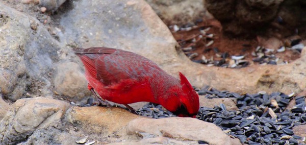 _DSC7528.jpg DSC7528