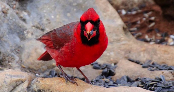 _DSC7530.jpg DSC7530