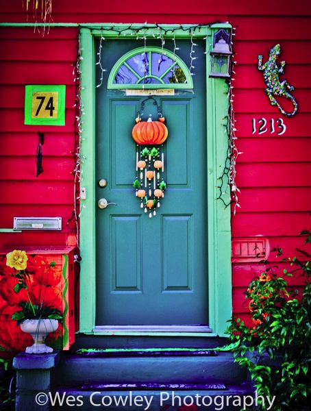 _DSC7558.jpg DSC7558