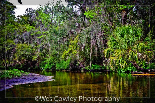 Little Manatee 1.jpg Little Manatee 1