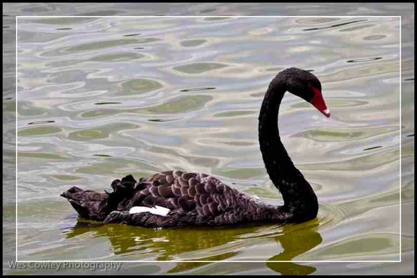 P5260041.jpg P5260041