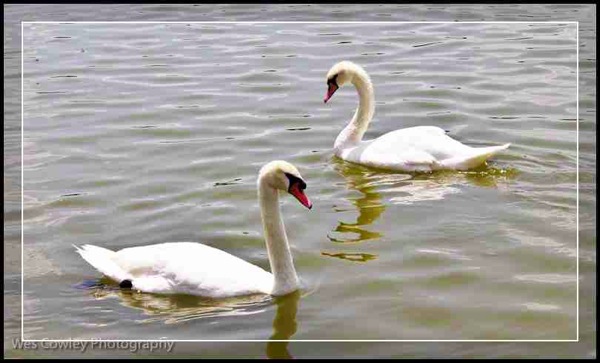 P5260050.jpg P5260050