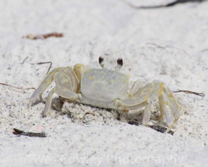 _DSC8549.jpg DSC8549