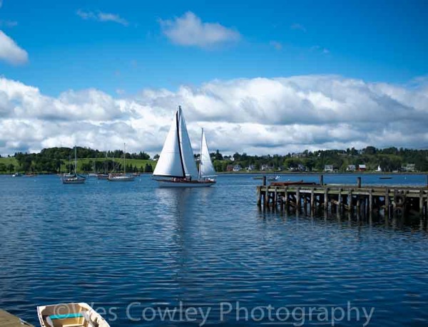 sailboat and pier.jpg Sailboat and pier