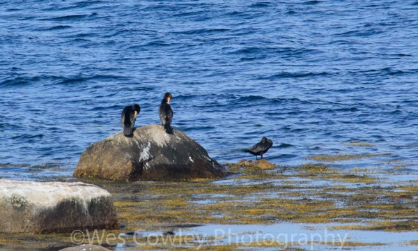sitting on a rock.jpg Sitting on a rock