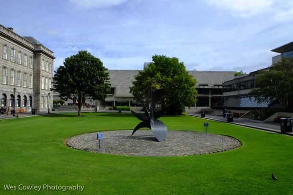 Trinity College.jpg Trinity College