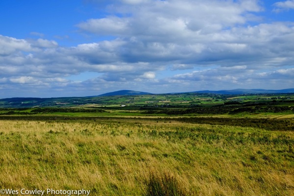 a view across the fields from the Causeway walk.jpg A view across the fields from the Causeway walk