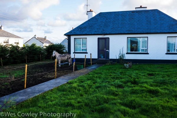ardara horse and house.jpg Ardara horse and house