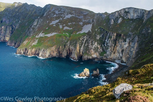 giants chair.jpg Giants chair