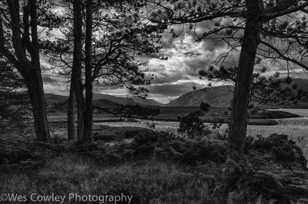 glenveagh 2 hdr bw-2.jpg Glenveagh 2 hdr bw 2