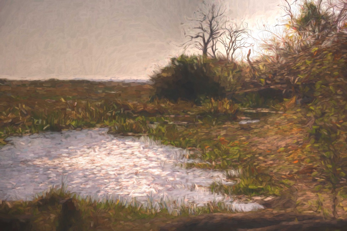 Monet vision of pond and landscape