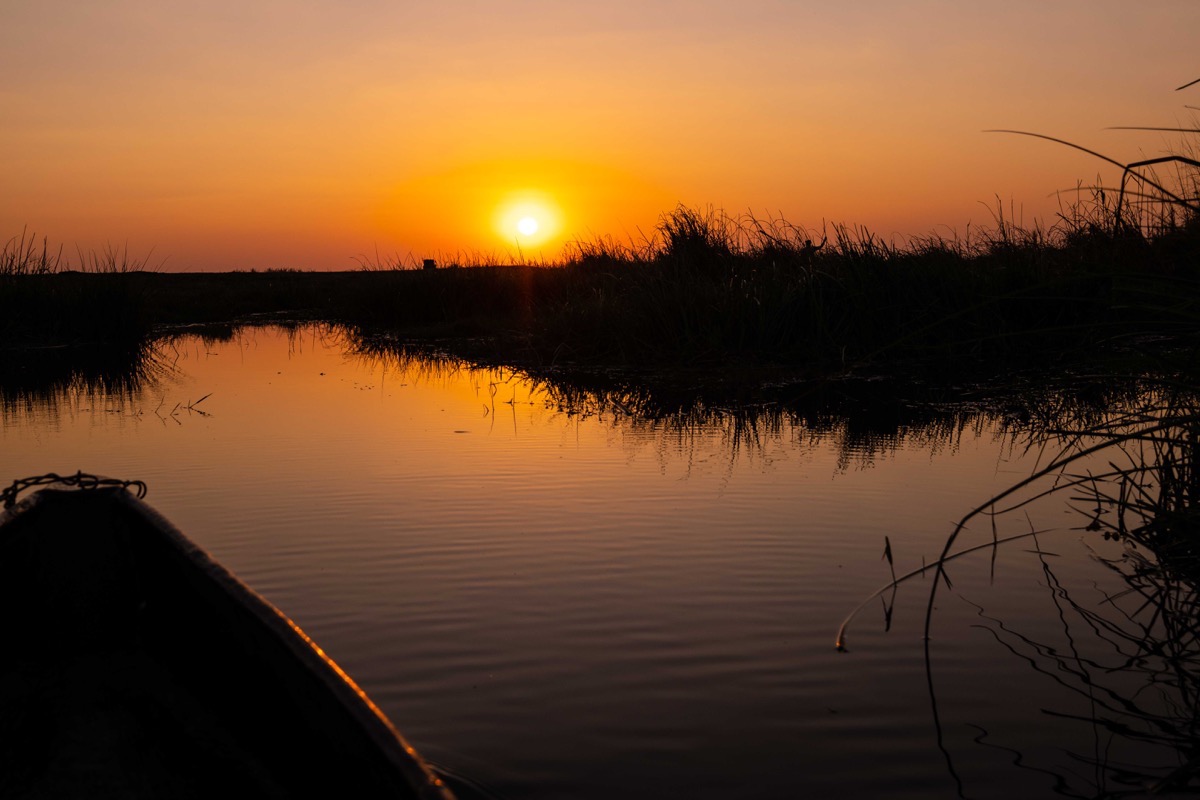 Sunset from the mokoro